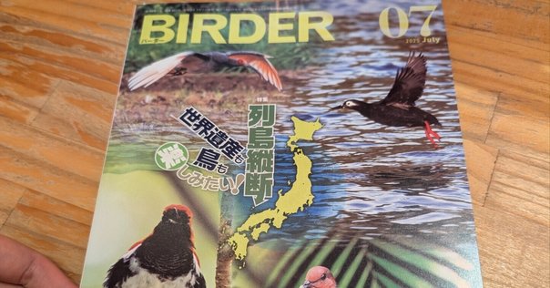 BIRDER6月号の見どころ｜ブンイチ（文一総合出版）