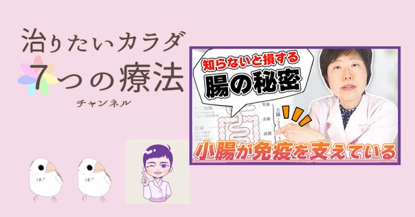 ヒトマイクロバイオーム 2* Amazon | マイクロバイオーム2 Sファイバー餌菌 30カプセル 30日