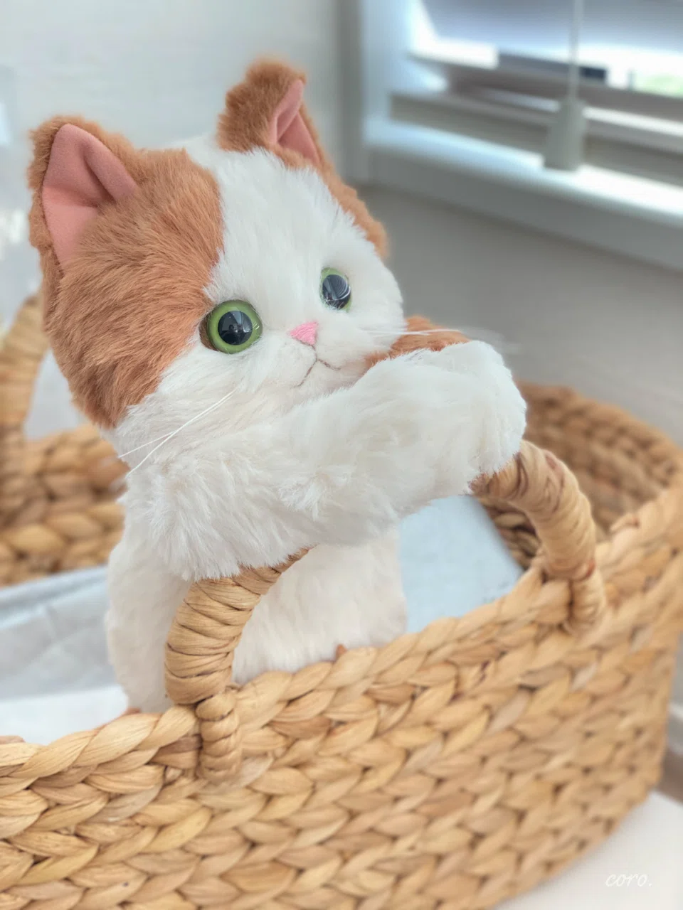 🐱《よろしくニャ🐾猫のきせかえぬいぐるみ》｜coro