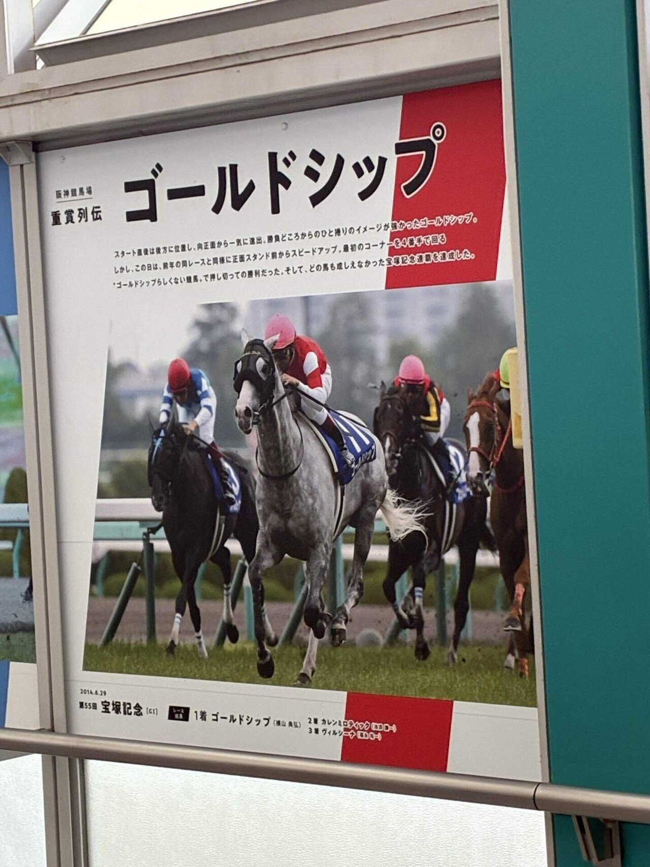 宝塚記念G1 【メイショウタバル＆武豊騎手】父ゴールドシップと親子