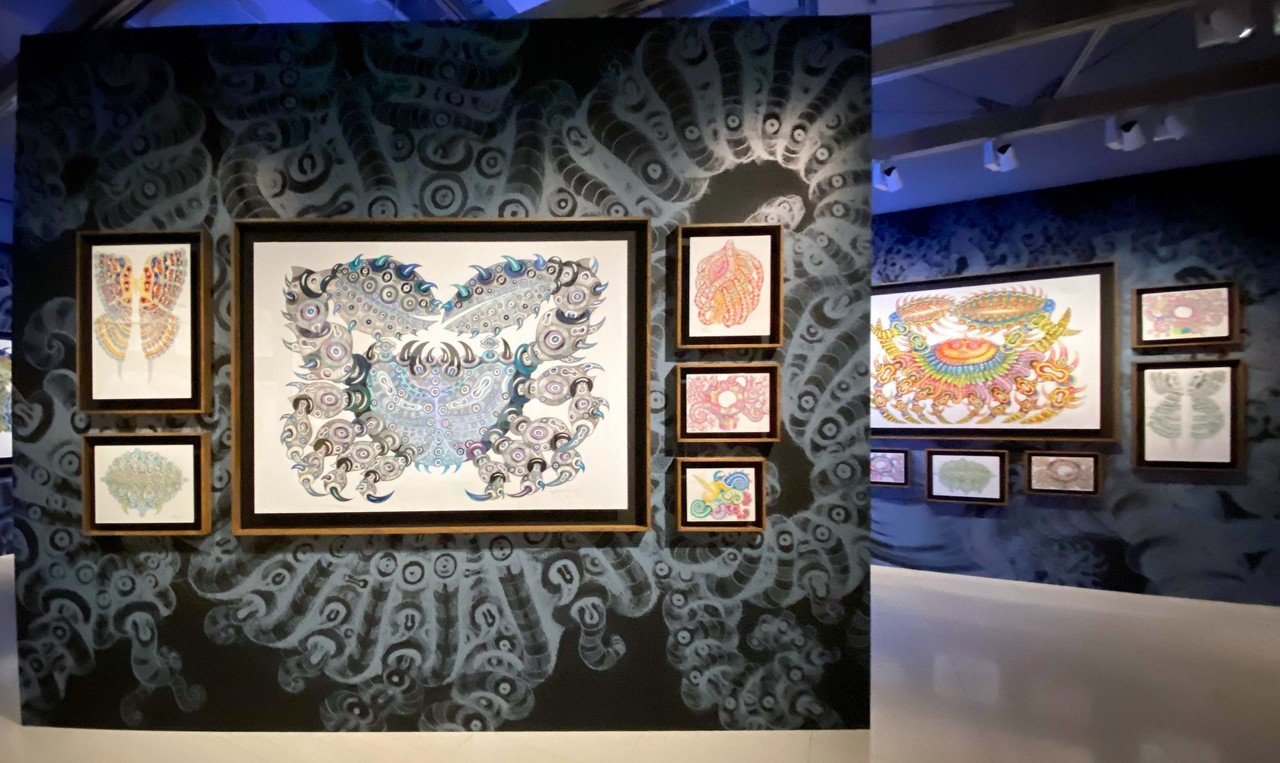 ディスプレイの中でだけ生きる、5億年後の生き物。 ー河口洋一郎