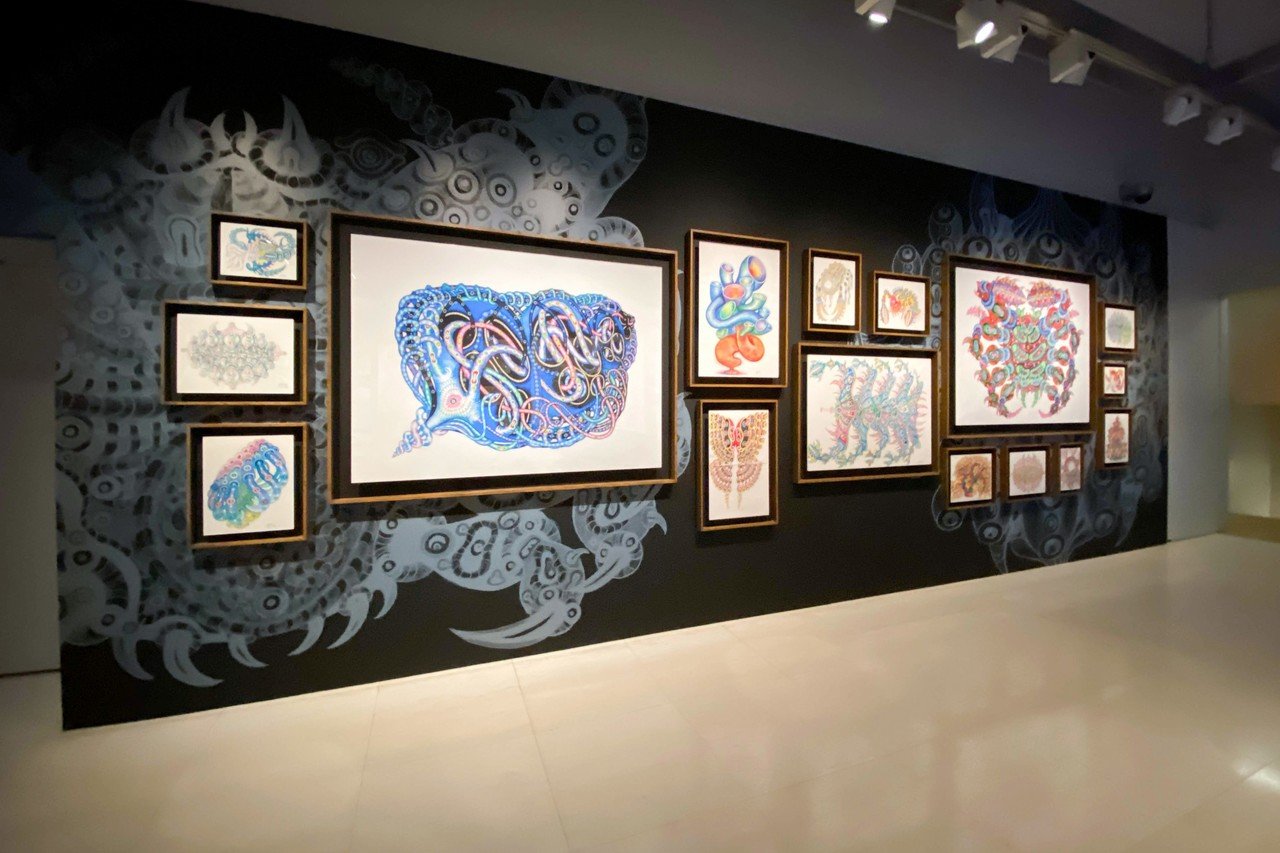 ディスプレイの中でだけ生きる、5億年後の生き物。 ー河口洋一郎