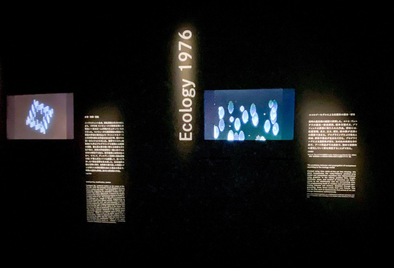 ディスプレイの中でだけ生きる、5億年後の生き物。 ー河口洋一郎