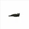 うずきねこ