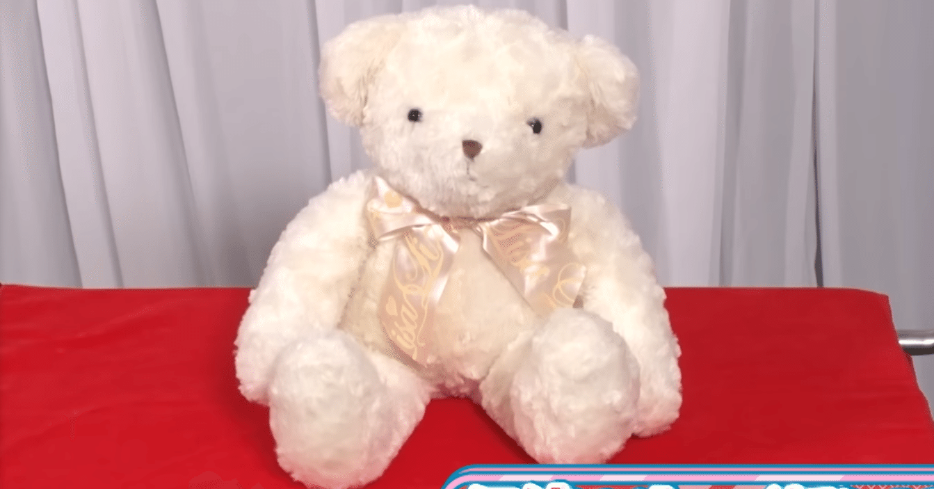 花を持つ白いクマのぬいぐるみ 白沢・涼花・桜月へ ― 22/7を見守る白いクマ、秘密に迫る｜越川欣和