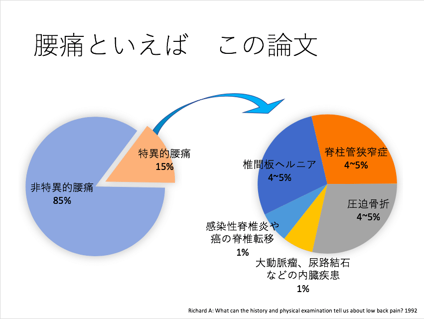 腰椎椎間関節痛の基礎｜Mr.5minutes