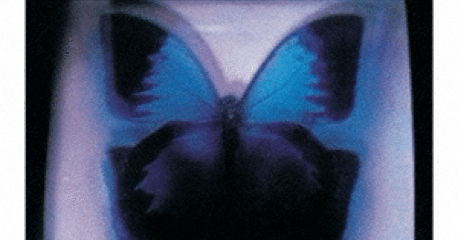 YEN TOWN BAND「MONTAGE」新品未使用 Chara 小林武史 YEN TOWN BAND「MONTAGE」新品未使用 Chara 小林武史 Yen Town Band