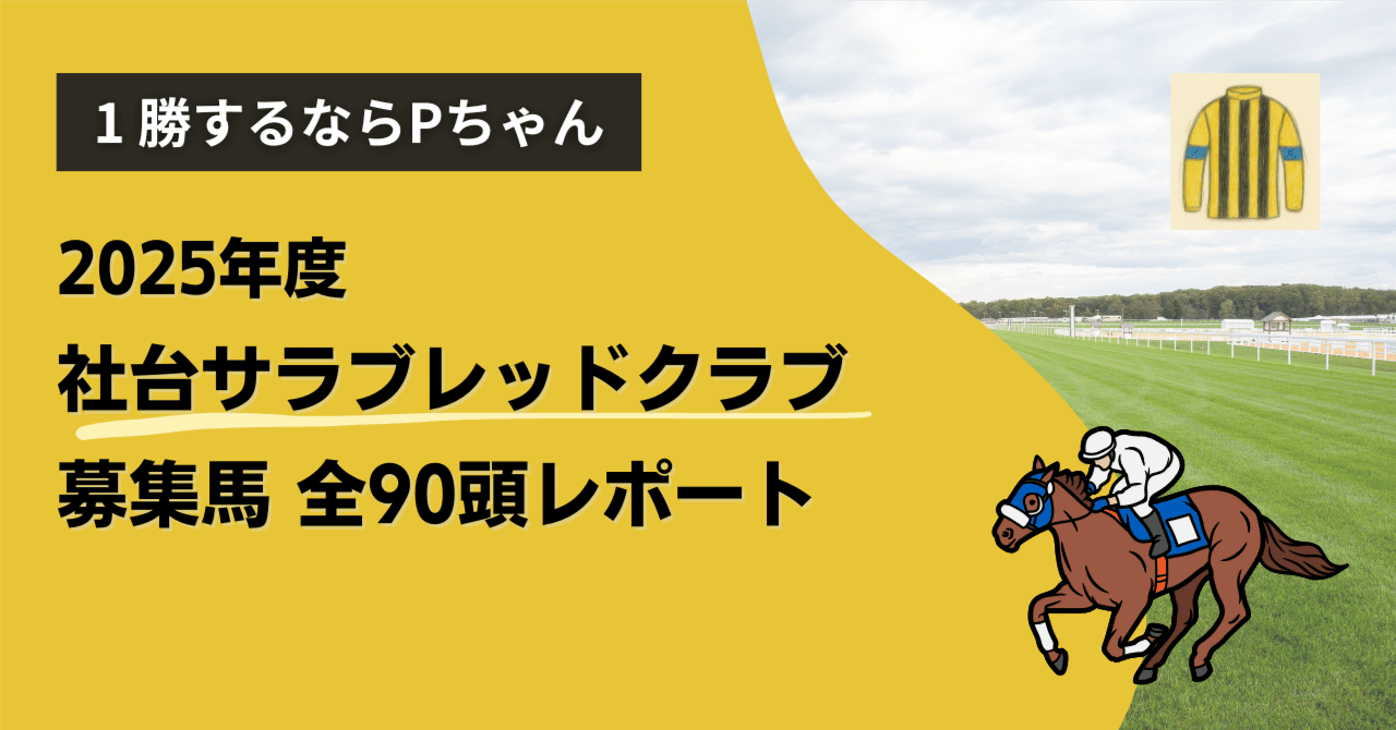 2005年 社台オーナーズ 馬主限定品 社台オーナーズクラブ o0789080015438571005.jpg?caw=800