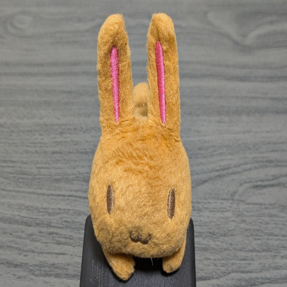 初心者のための 田村ゆかり LOVE ♡ LIVE 2025 *Wonderful Happiness