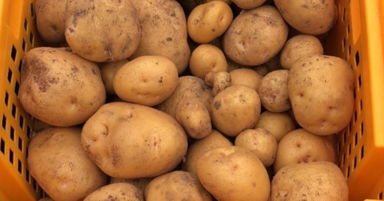 ジャガイモの栽培法｜MUNA_FARM 無農薬自給自足