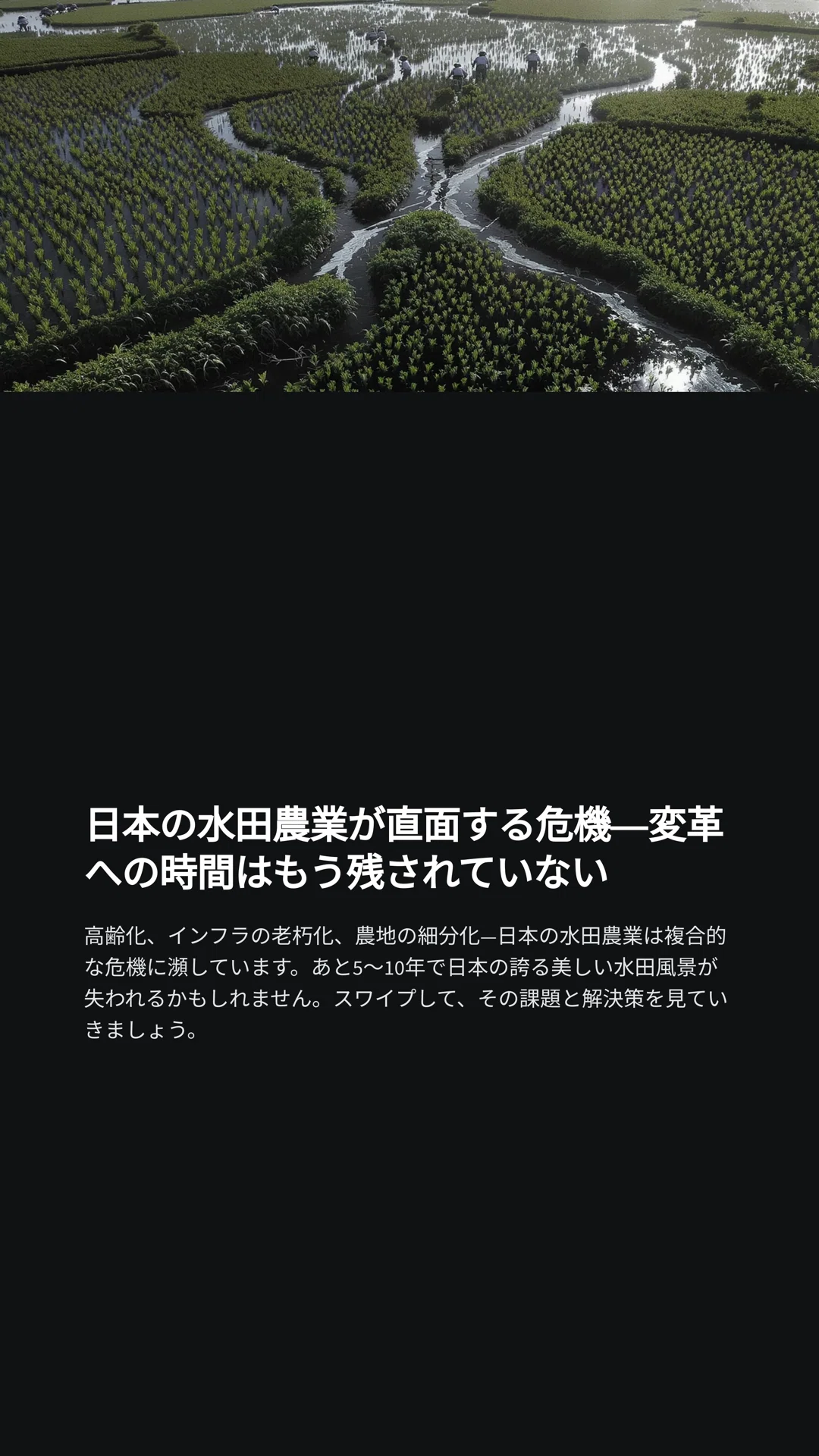 日本の水田農業が直面する危機—変革への時間はもう残されていない