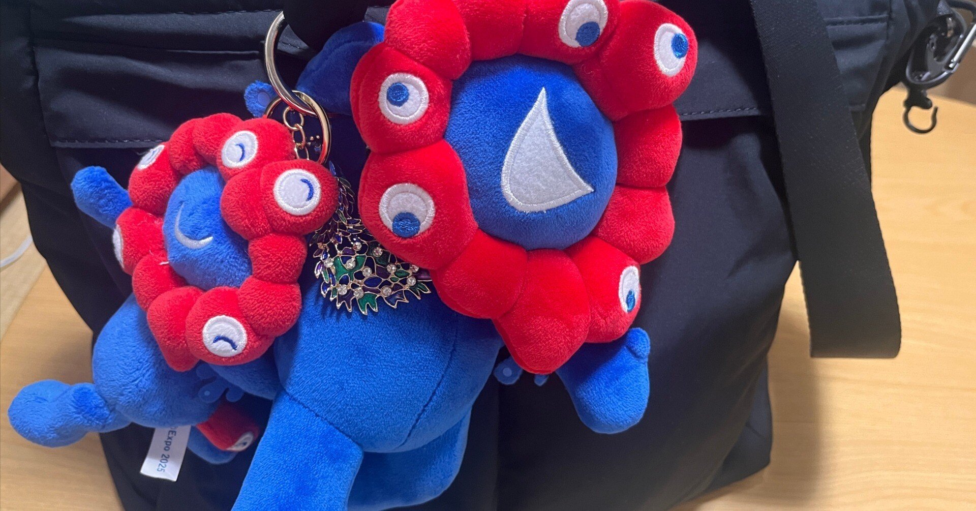 万博関連パック 4df97f3596e3bd6e480e7bbf145174