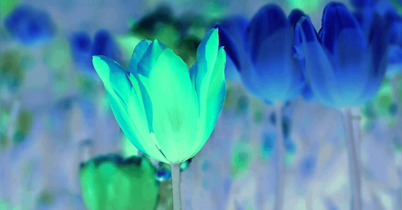 ジークアクス』第11話「アルファ殺したち」感想＆考察 今度はアムロっ