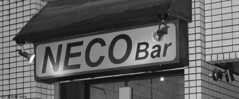 新宿 PHOTO「NECO Bar」