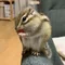 ちょむすけ