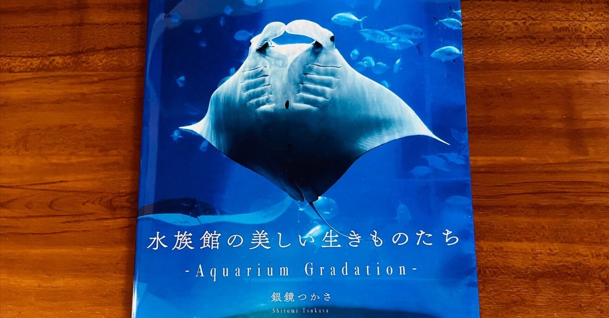 ❌水族館好き(❁ᴗ͈ˬᴗ͈)水族館の生き物 水族館の美しい生きものたち