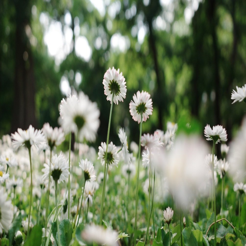 AIに写真を評価してもらったら自分の写真の