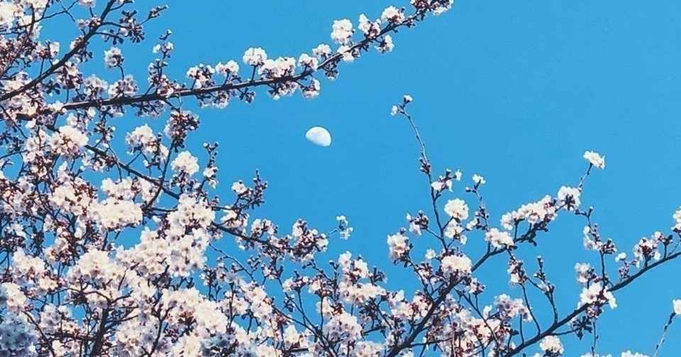 桜の花の咲く頃に ヒロミのノート Note