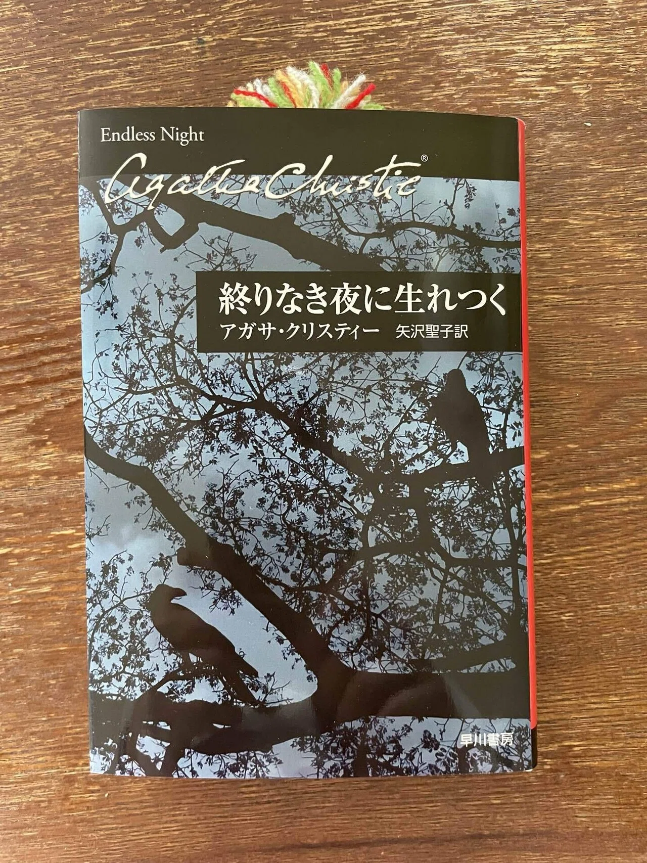 読書レビュー】アガサ・クリスティー『終わりなき夜に生まれつく