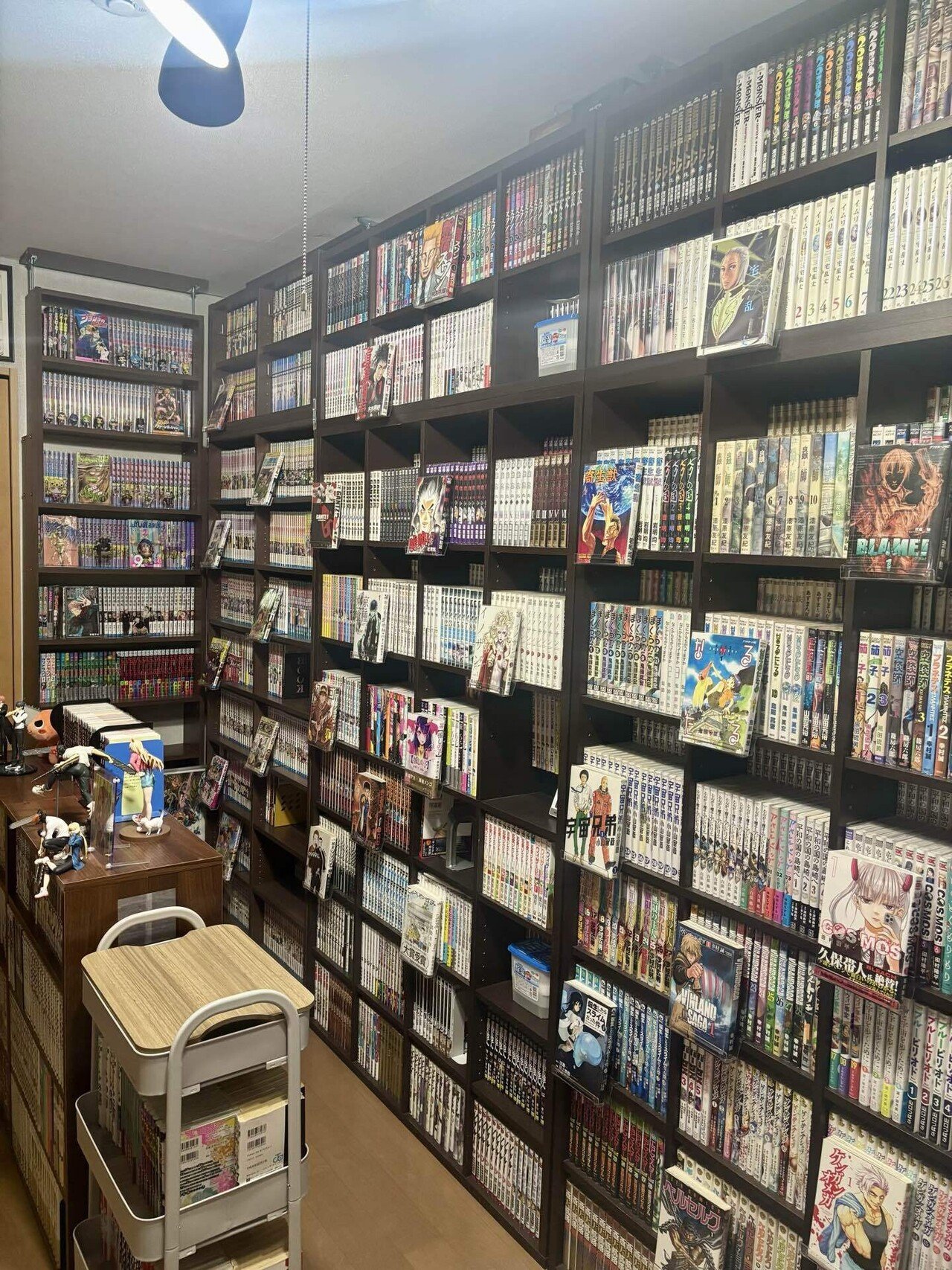 漫画ゲーム　1枚目今の本棚 漫画ゲーム 1枚目今の本棚 漫画ゲーム 1枚目今の本棚