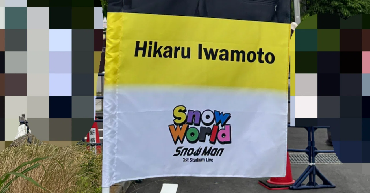 Snow Man 1st Stadium Live Snow World: A Hikaru-kun fan's stream of