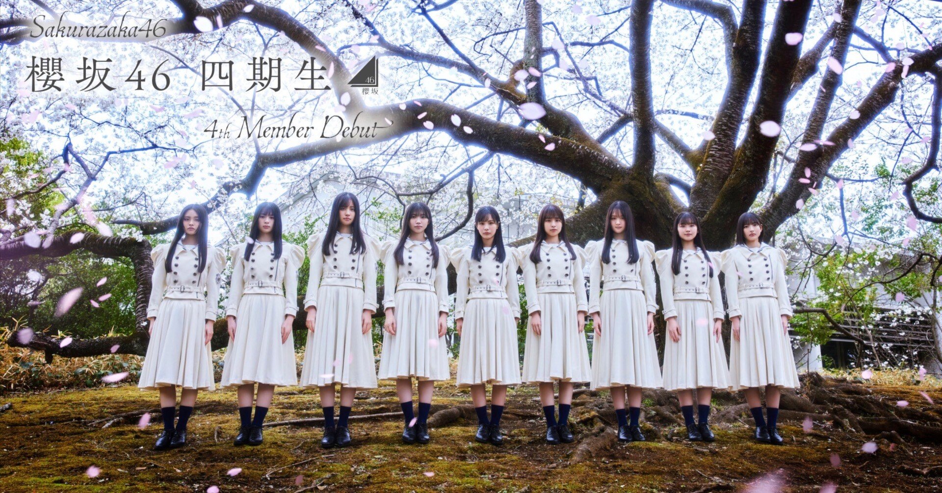 櫻坂46 生写真 四期生全メンバー コンプ 櫻坂46 12th Mark or Break 生写真 4期生 コンプ 全36種 櫻