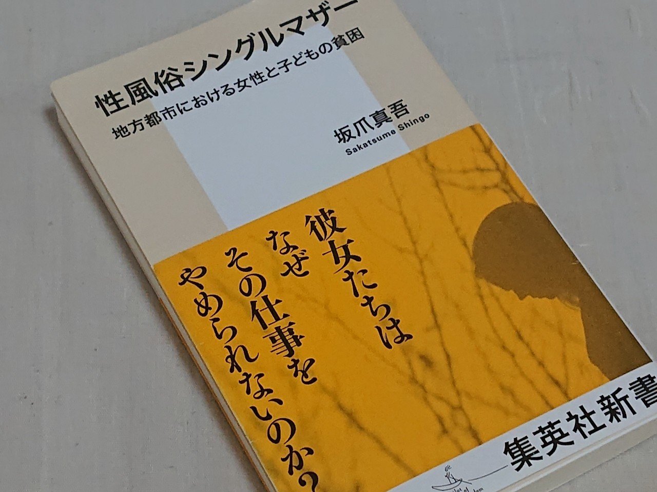性風俗シングルマザー を読んで考えたこと ２ なんでクソ男ばっかりなんだ 秋吉 美歌 Note