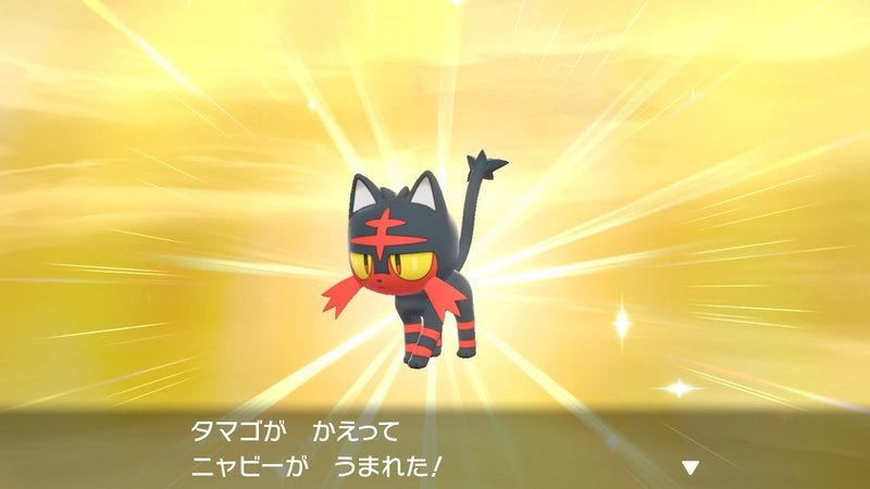 ポケモン剣盾 8 他 みきぎり Note ポケモン剣盾 8 他 みきぎり Note