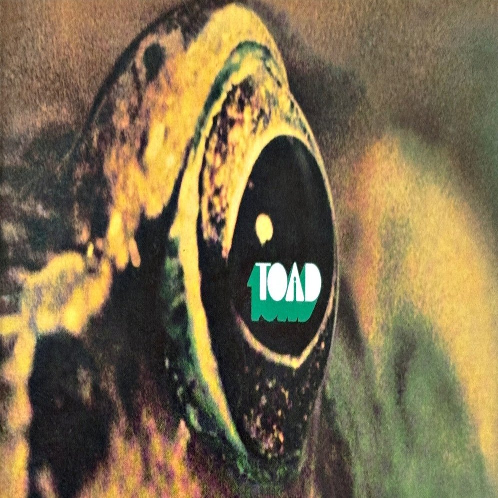 Vintage Technology製 TOAD FUZZ Vintage Technology製 TOAD FUZZ