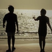 上板橋の素敵なお花屋さん ミルティーユフルール じょーほっかー Note