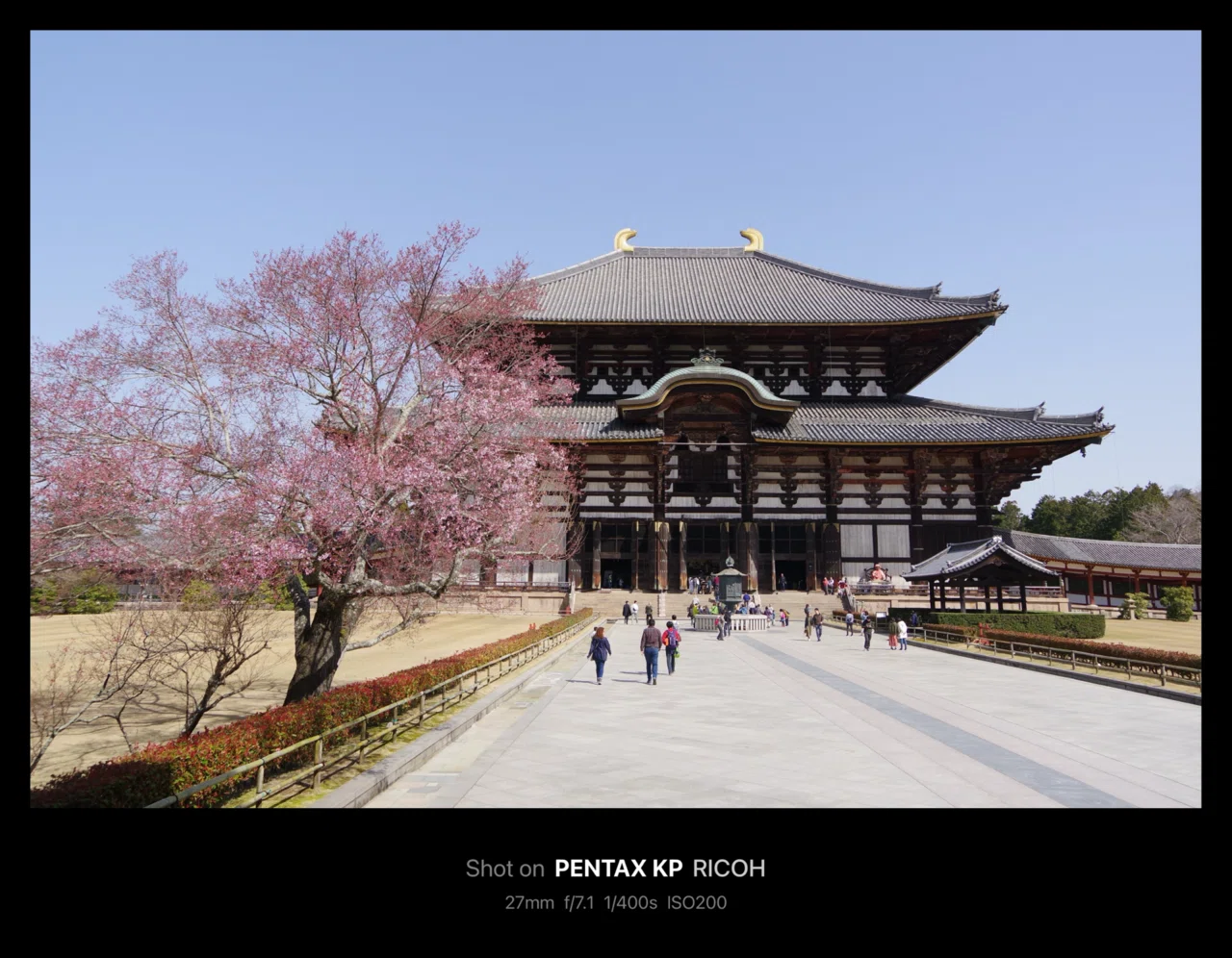 東大寺 大仏殿 / Todaiji Temple Great Buddha Hall[Daibutsu-den