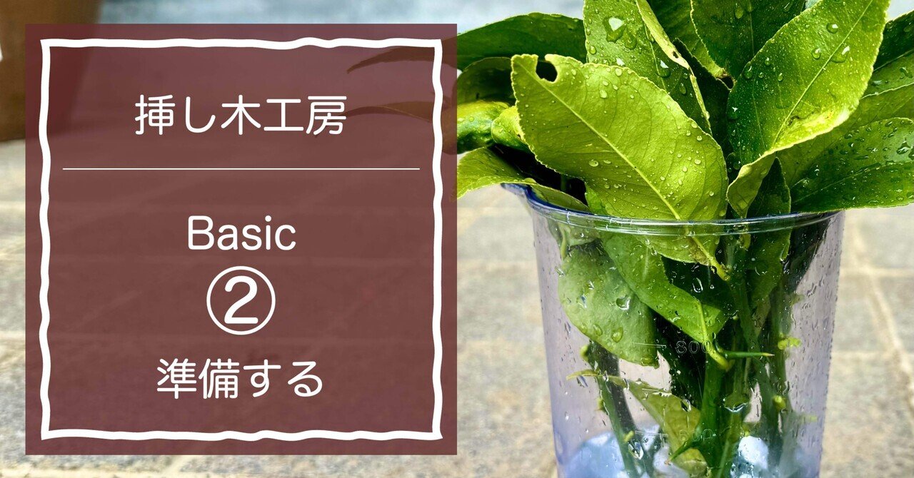 挿し木は準備が8割◇挿し木工房Basic②「準備する」編｜ほのり（帆礼）