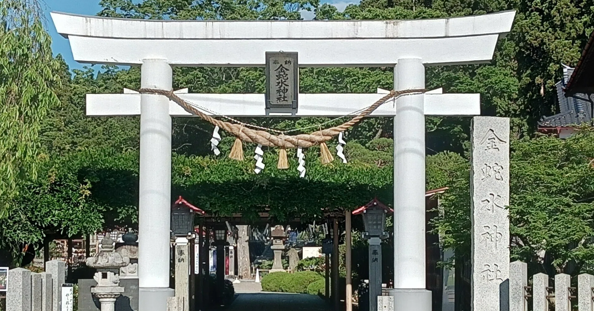 2025年6月のおでかけ＃1 金蛇水神社｜あらかん みぃさん
