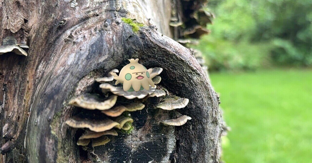 きのこ 0285 キノココ｜睦月川