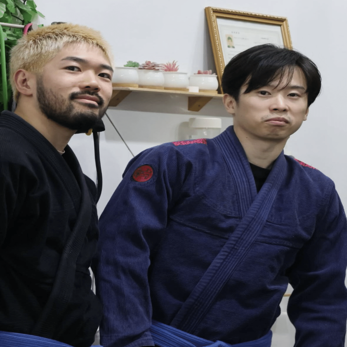 noteの上で柔術をする男、それが私。｜jodo curly journal【大阪