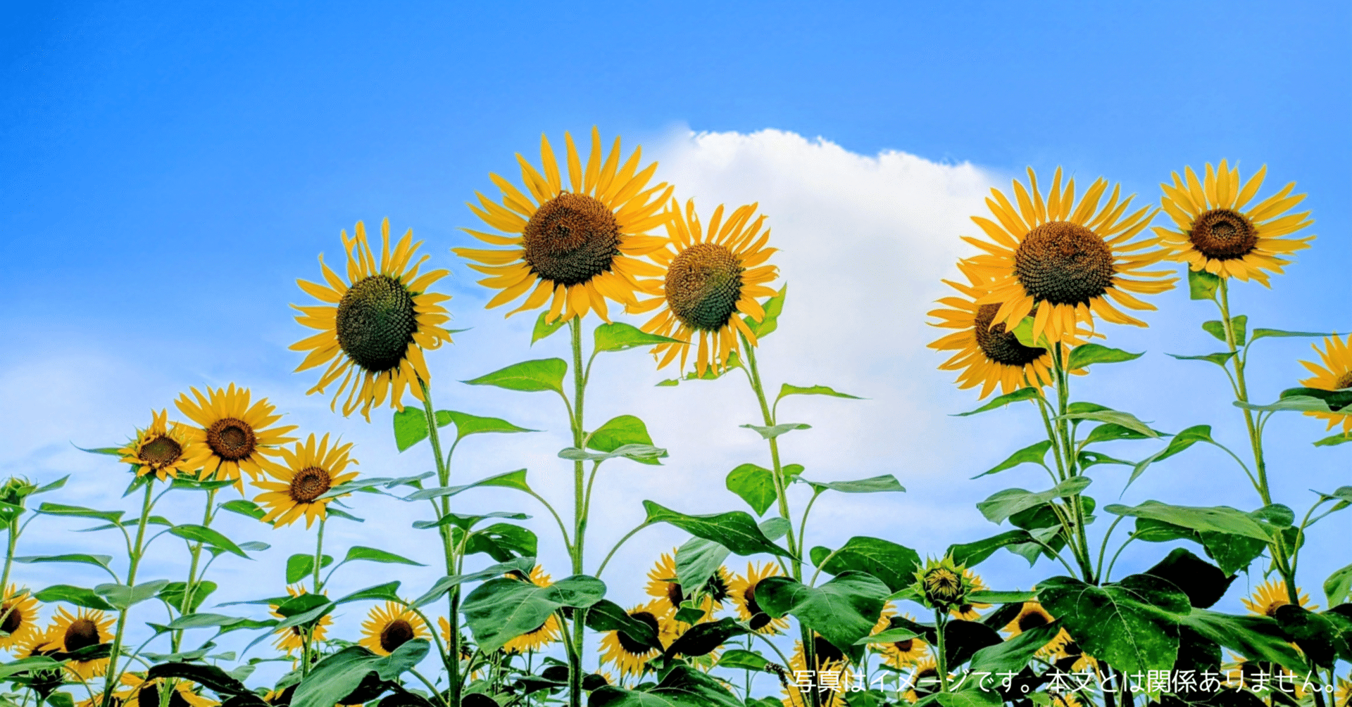 MCREVAはどこの国のブランド？冷風機・冷風扇│静音 冷風モード 風量6