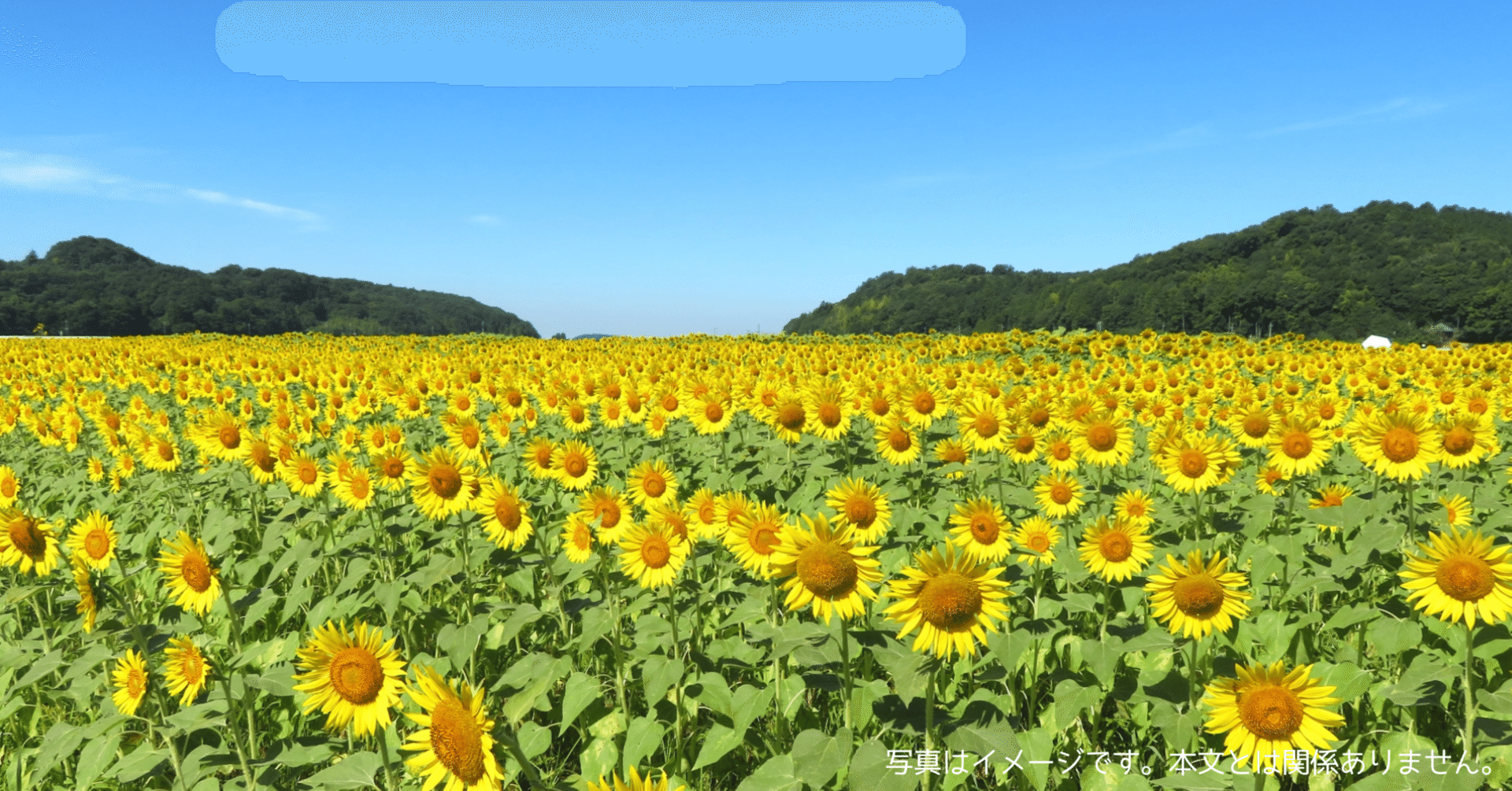 MYICYはどこの国のブランド？冷風機・冷風扇│65w超省エネタイプ 風量3