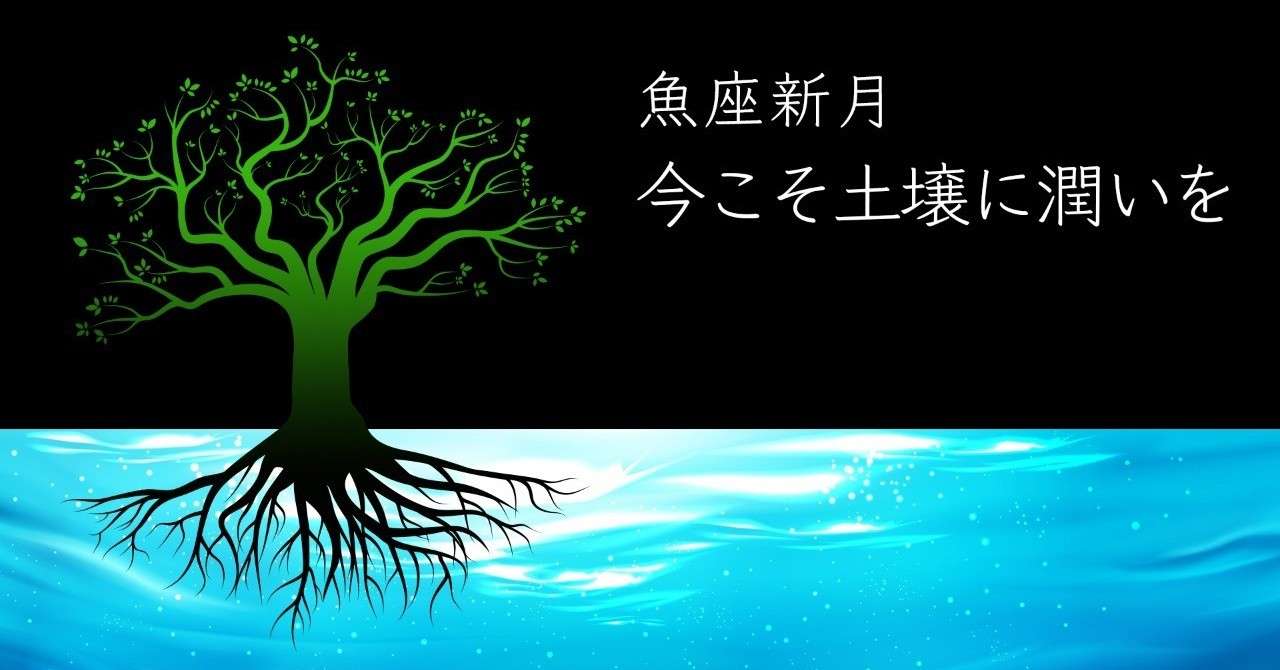 2020年2月24日 魚座新月 芹澤徳美 Note