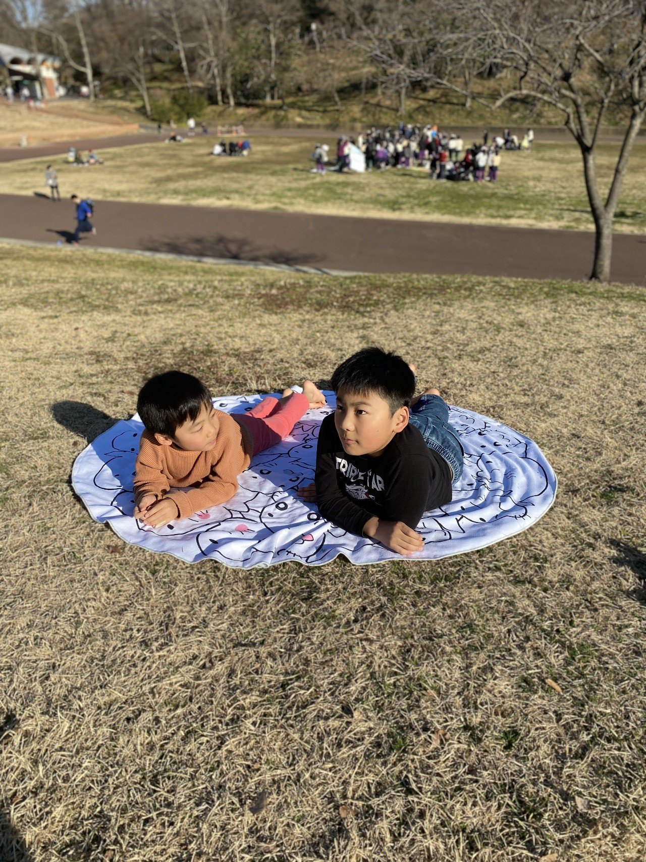 ゴマちゃんのジャンボサークルマット｜森下裕美公式note / ゴマちゃん