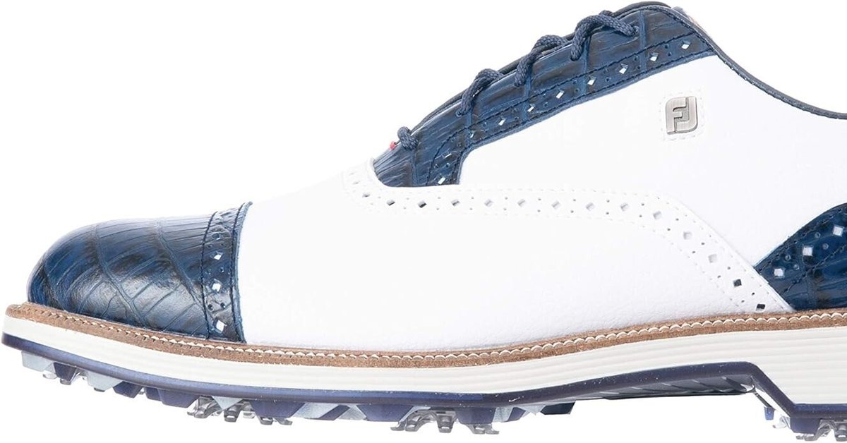 FootJoy フットジョイ ゴルフシューズ 紐タイプ ドライジョイズ