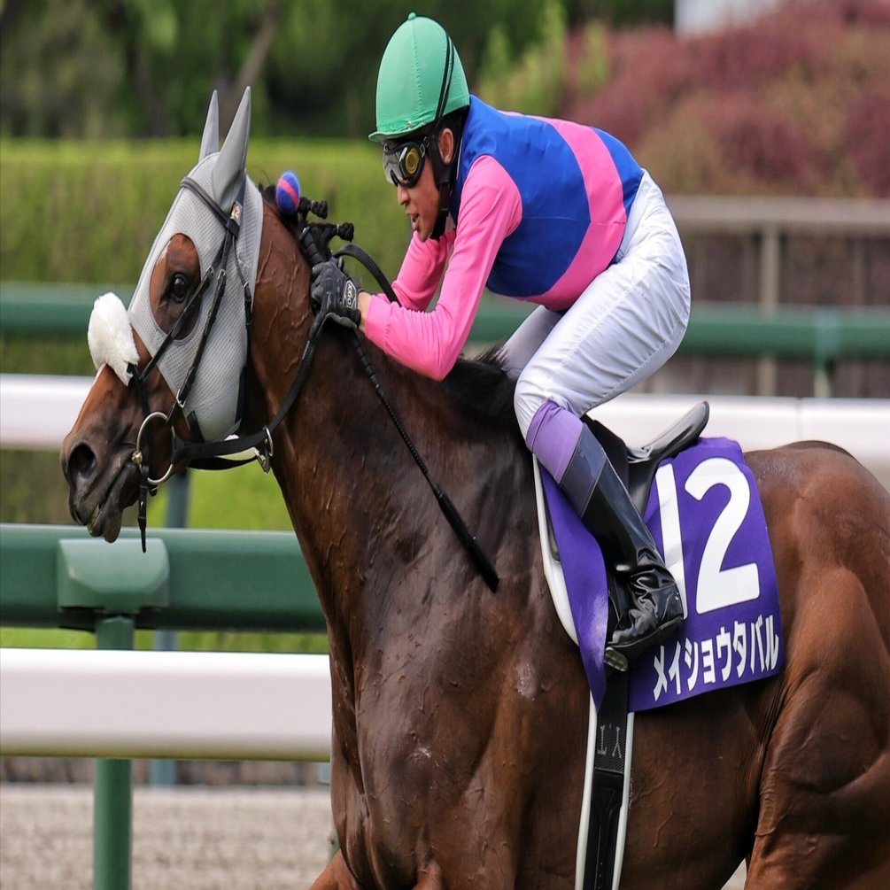 競馬　ソメイヨシノ　42回宝塚記念　約70cm 2025 Takarazuka Kinen (GⅠ) | Meisho Tabaru | JRA Official - YouTube
