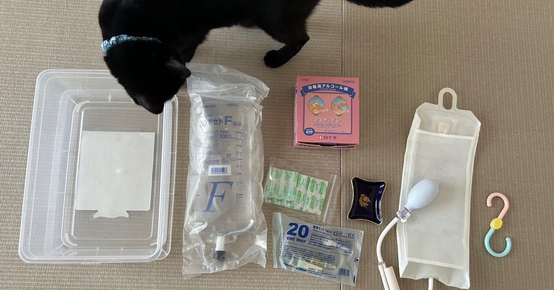 2年前に自宅でやってた犬の皮下点滴について｜イトウ アリサ