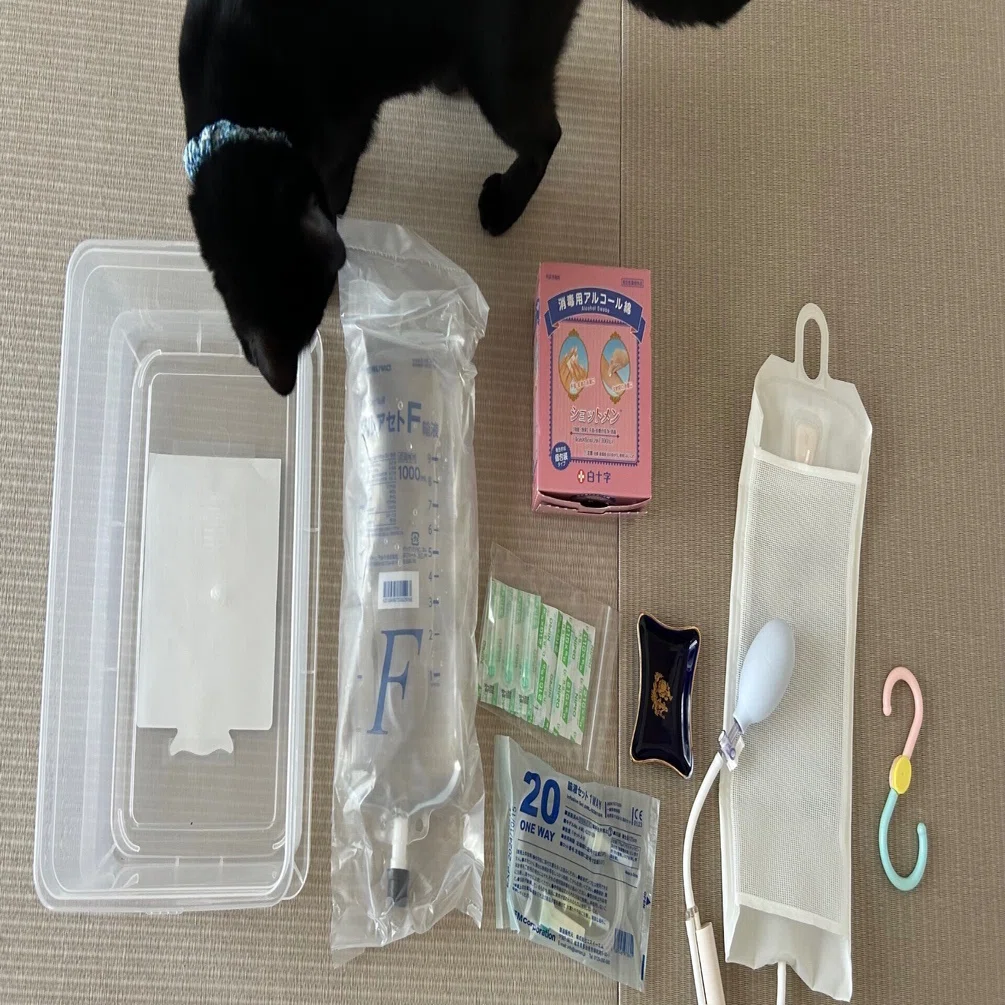犬猫用 輸液セット (動物用) 【公式通販】