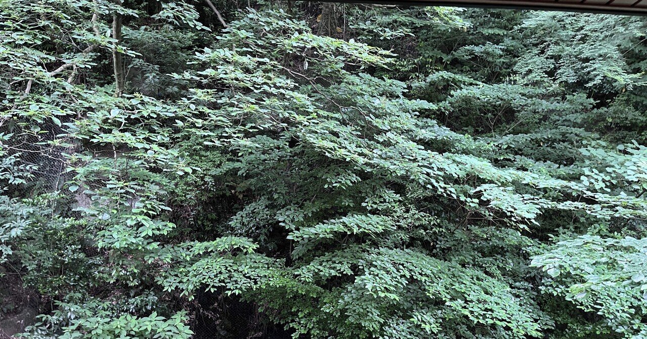 保守の精神10.】「日本固有の保守主義」を探る：海外の思想とは異なる、私たちの「守るべきもの」とは？｜永瀬豊