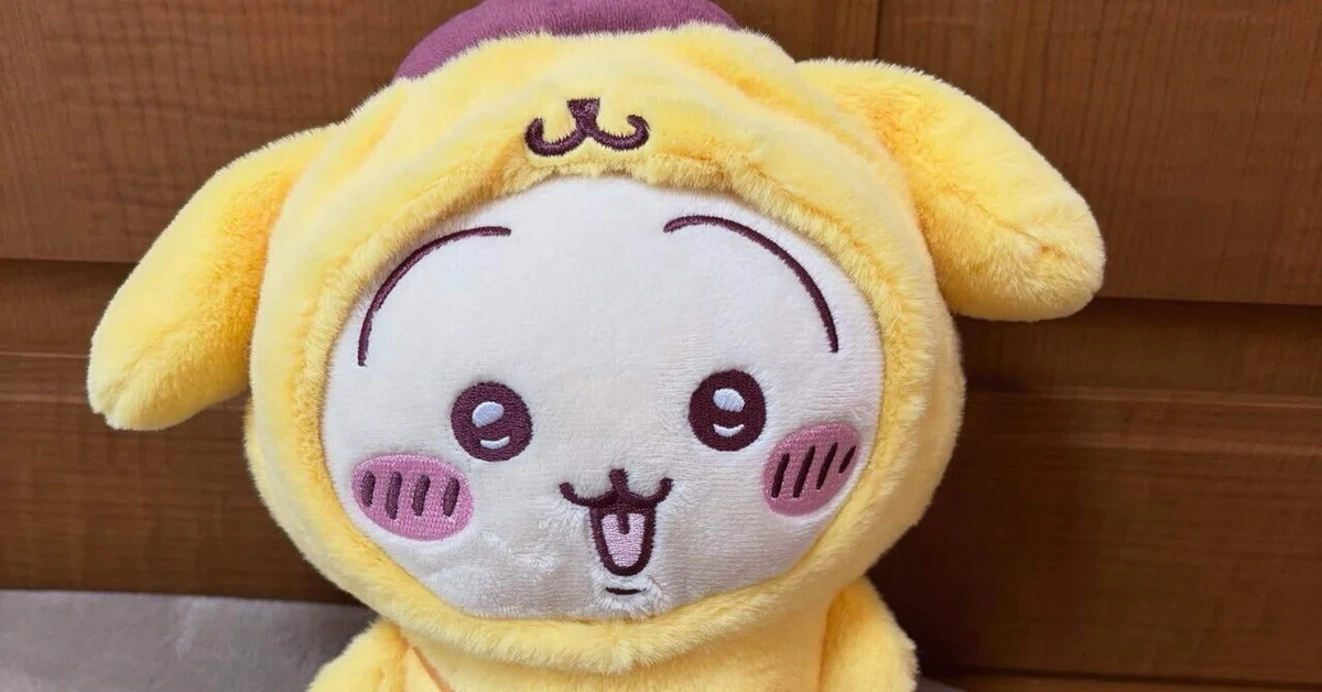 [Chiikawa] Sanrio x Chiikawa Collaboration GET!｜朝サン☀️