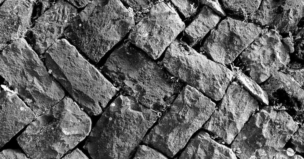 エリートゾンビコマンダーデッキ - スカラブの神 - ディミール - ブラックブルー - EDH - 100枚 - カ EDHリストのみ紹介その５０(The Scarab God&frasl;スカラベの神 \u2013 50,000円