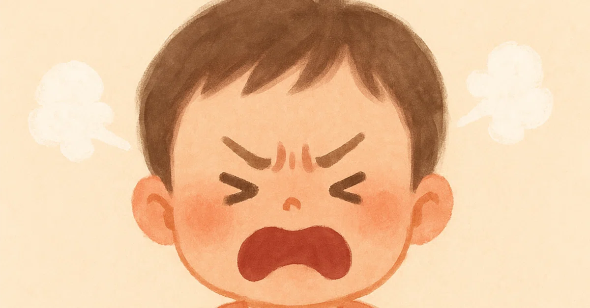 感情じてん⑤おこる|静月