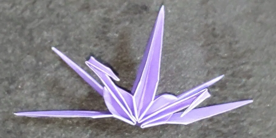 連鶴折ってた｜狭戸哀良