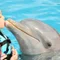 高橋うによ