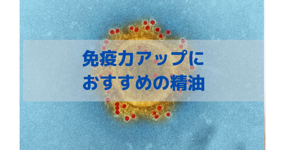 note用サムネイル__1_